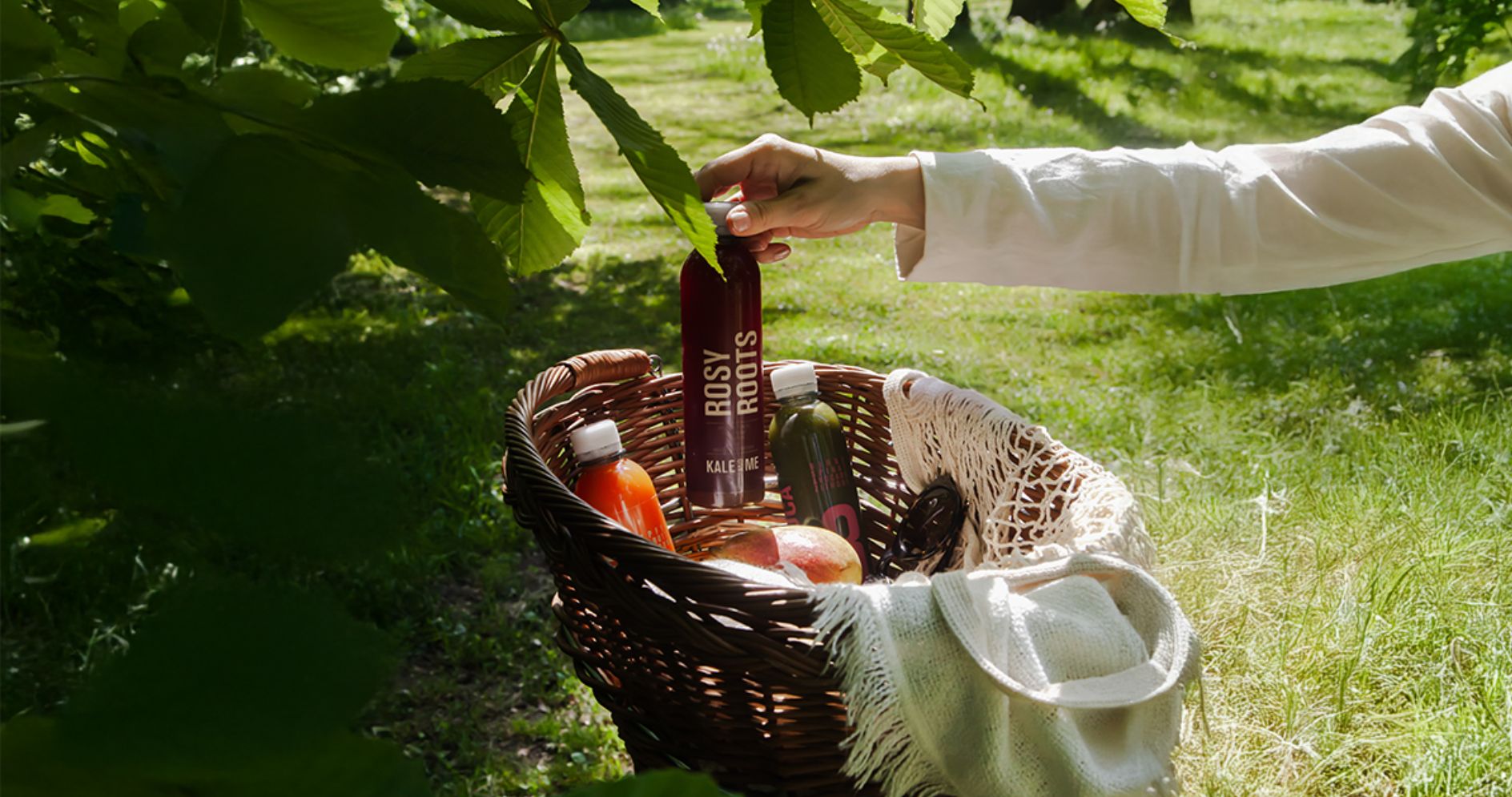 Optimale_Frequenz_Blogartikel_Header