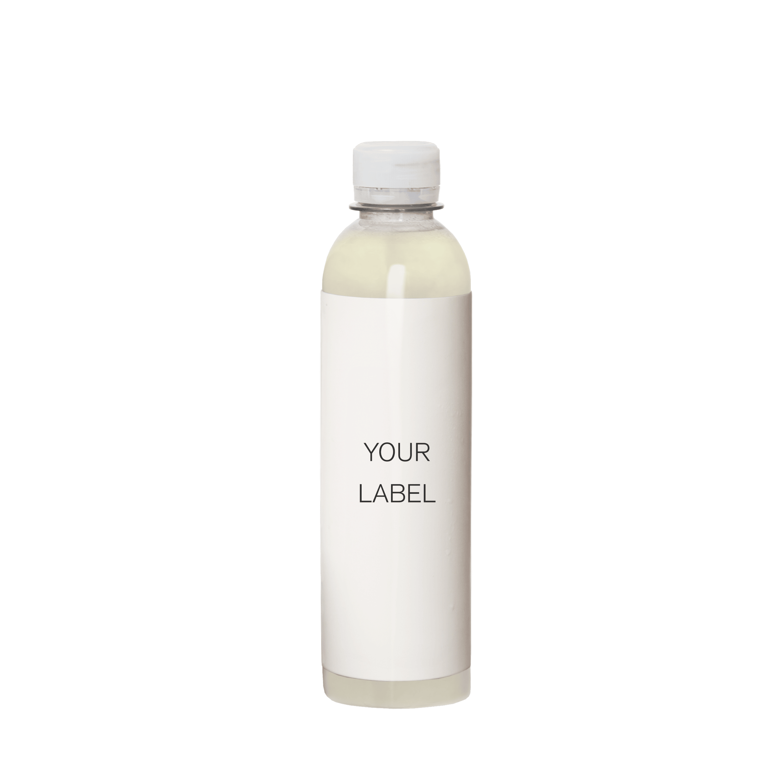 Infused Water (320ml) - Ingwer Zitrone - Palette