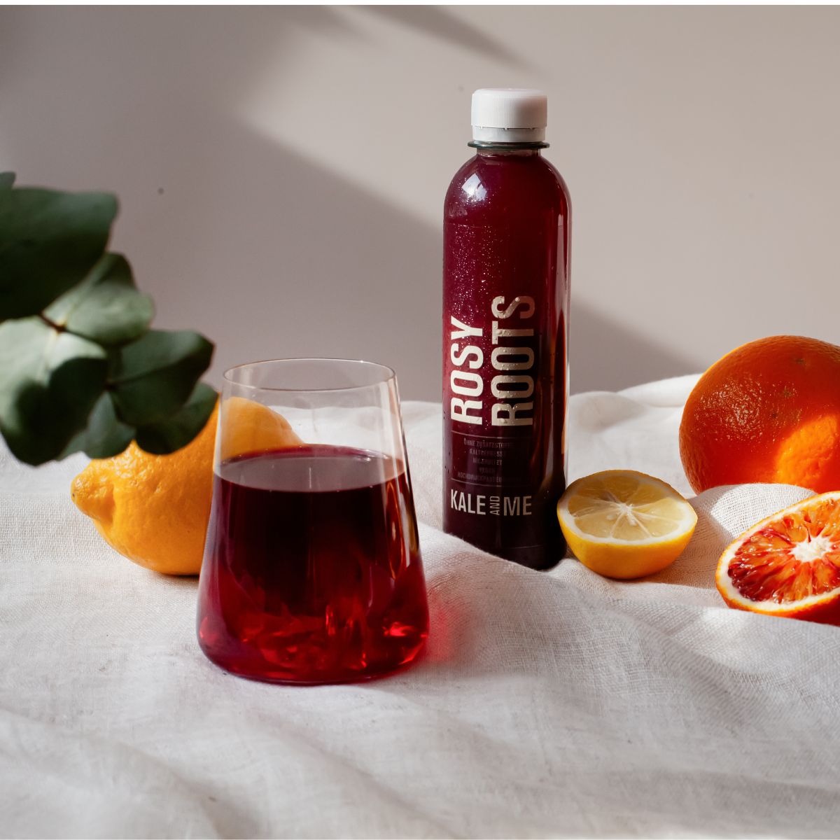 Rote Beete Saft im Glas mit Zitronen und Orangen