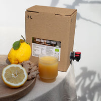 Ingwer BIB mit Zitrone und Ingwerknolle