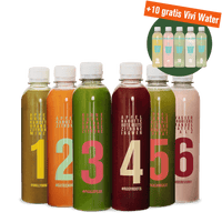 Frucht- und Gemüsesäfte mit Infused Water