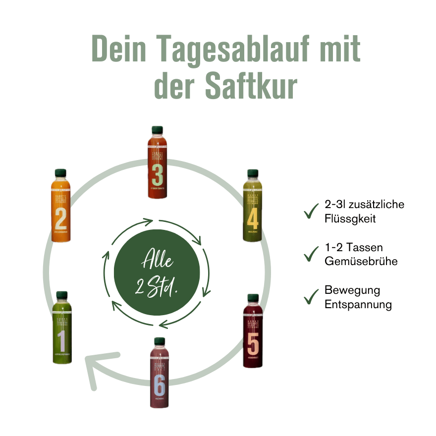 Tagesablauf einer Gemüse Saftkur