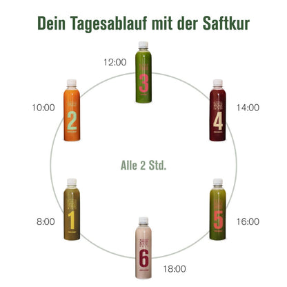 Tagesablauf Klassik Saftkur